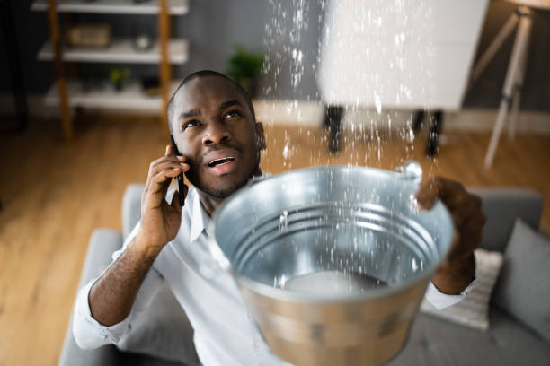 Best Sewage cleanup and water damage restoration  in Camp Verde, AZ