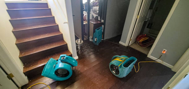  Camp Verde, AZ Water damage restoration Pros