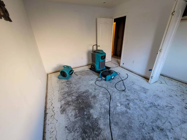Best Basement water damage restoration  in Camp Verde, AZ