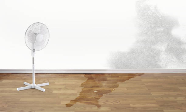Best Water damage restoration near me  in Camp Verde, AZ