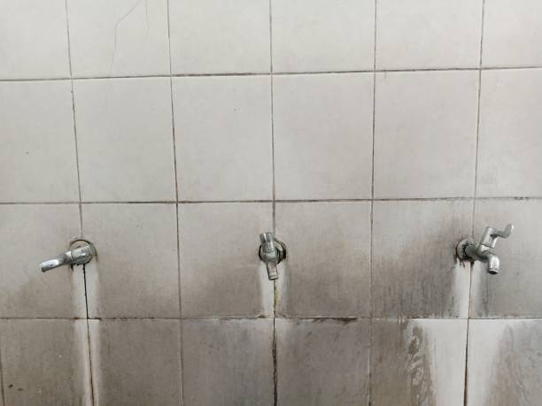 Best Residential water damage restoration  in Camp Verde, AZ