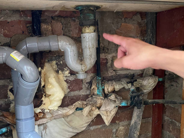 Best Flooded house restoration  in Camp Verde, AZ